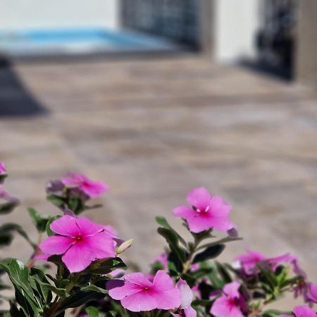 Villa Del Parque Flats Balneario De Pina Málaga Esterno foto