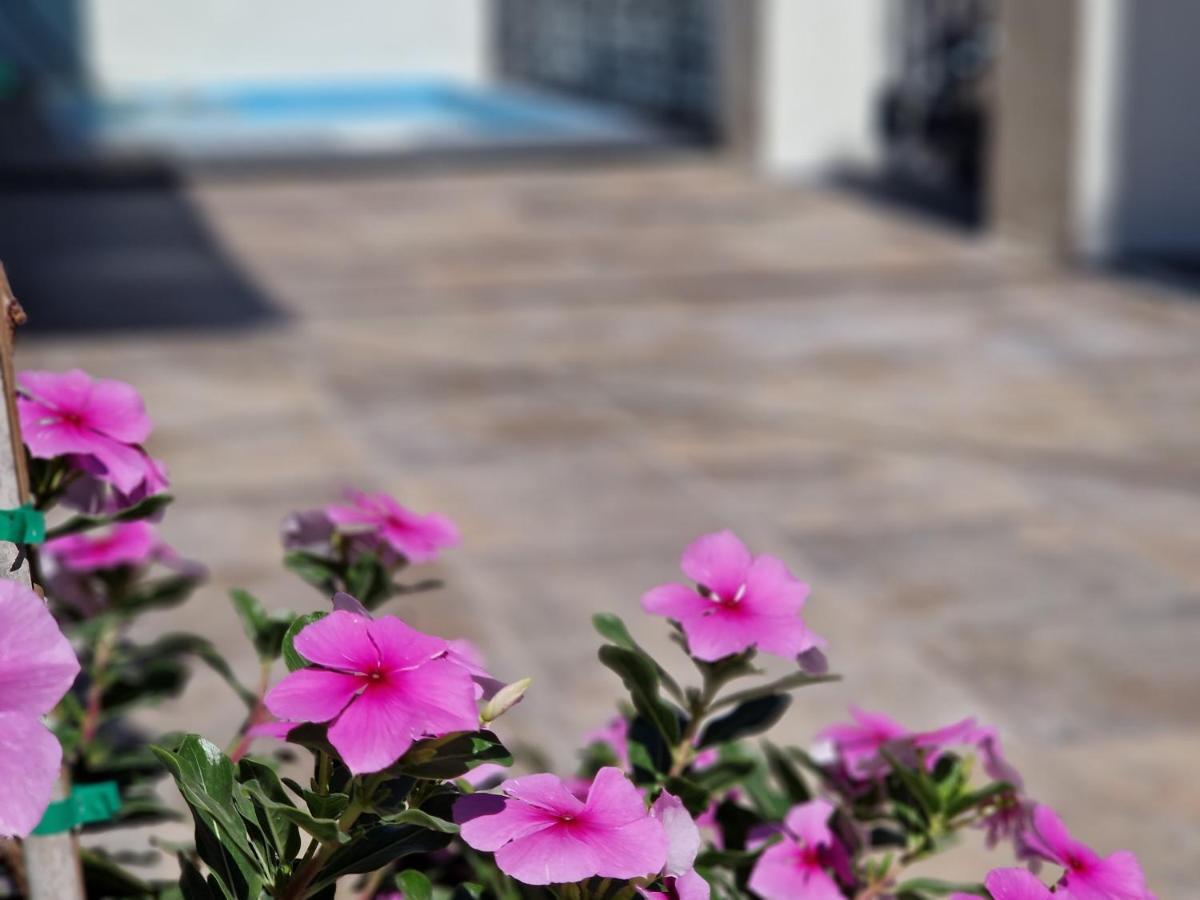 Villa Del Parque Flats Balneario De Pina Málaga Esterno foto